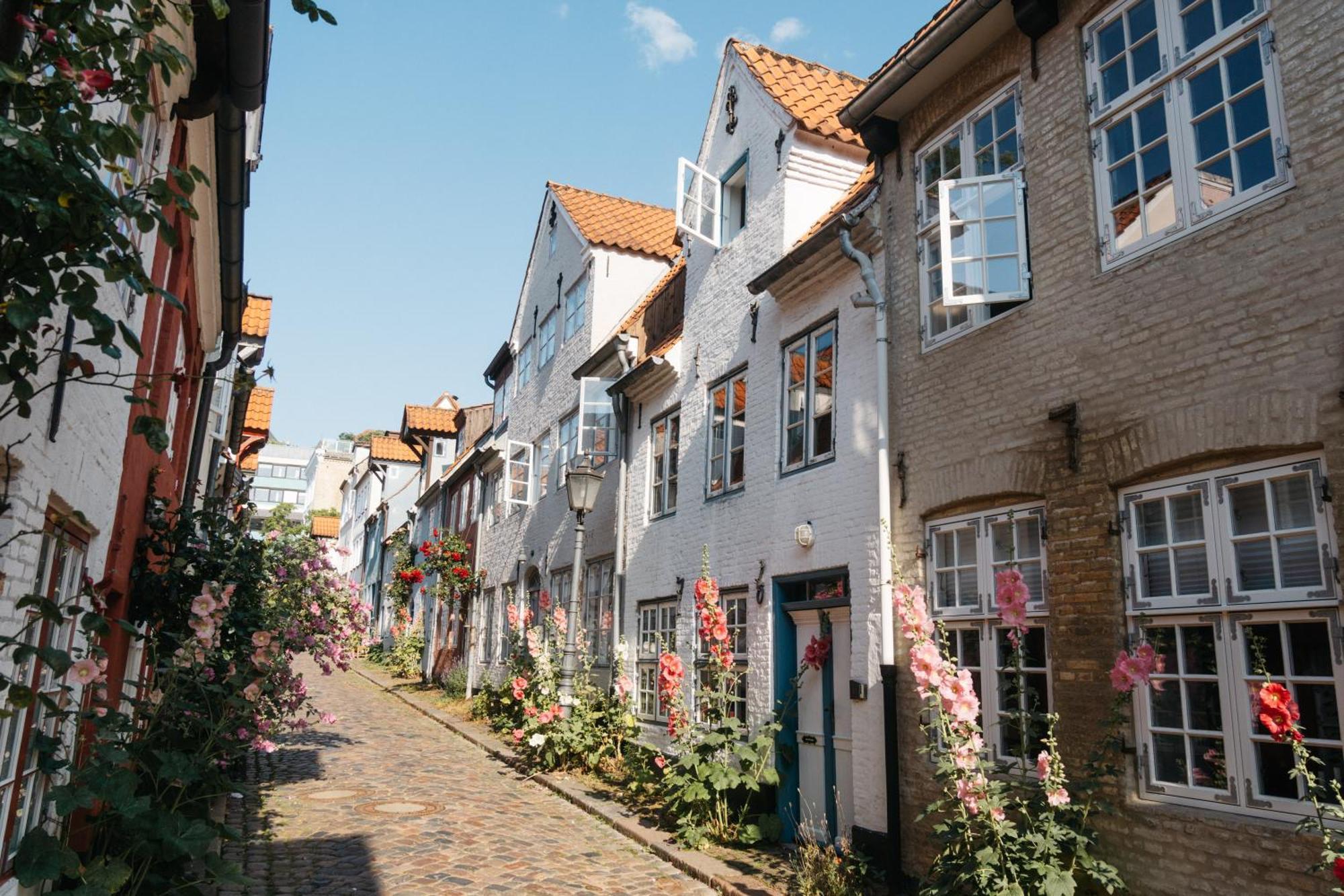 Grosses Apartment Mit 2 Balkonen Zentral Am Nordertor Flensburg Luaran gambar