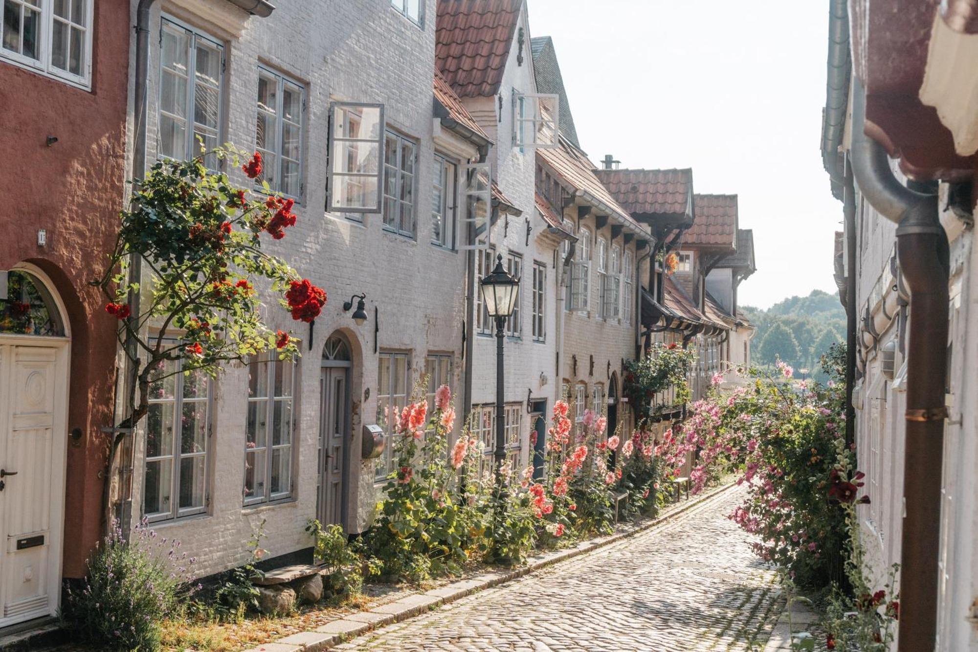 Grosses Apartment Mit 2 Balkonen Zentral Am Nordertor Flensburg Luaran gambar